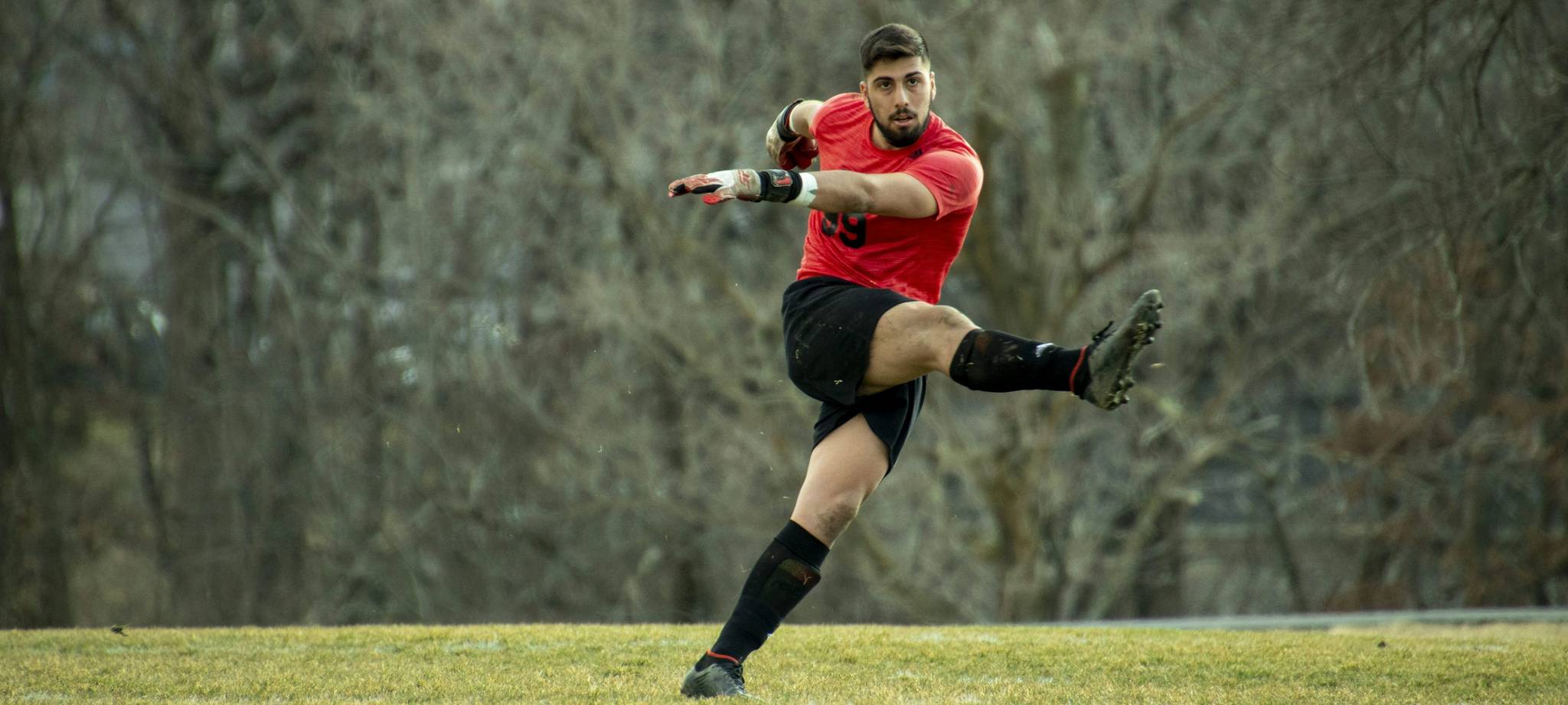 熊猫体育 产品服务